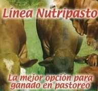 Nutripasto NUBAM